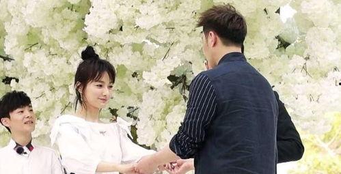 吃瓜网最新动态更新,娱乐圈风云再起，明星隐私大揭秘！