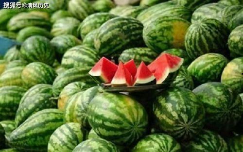 吃瓜网s6.11,S6.11背后的惊人真相