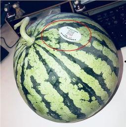 化州网红吃瓜,吃瓜群众纷纷围观