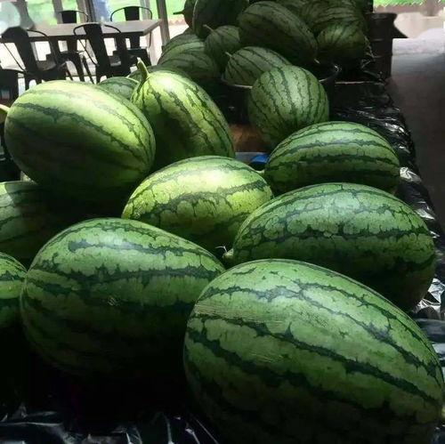 吃瓜网16,热点事件背后的真相与内幕