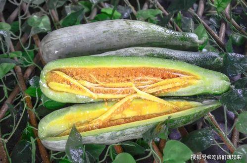 网红王璐茜吃瓜合集