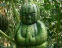 徐州网红吃瓜事件真相,揭秘背后真相与网络舆论风暴