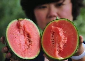 景德镇网红吃瓜事件始末,从热议到反思的舆论漩涡