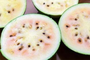 西宁网红吃瓜事件真相是真的吗,真相揭秘，还原事件始末