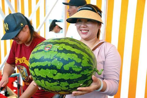 大王吃瓜网,揭秘娱乐圈最新热点，带你领略明星幕后故事