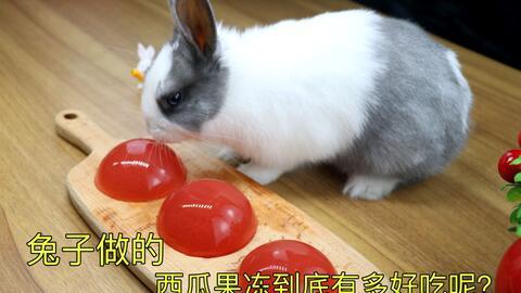 可兔兔吃瓜网,可兔兔吃瓜网带你领略明星幕后故事