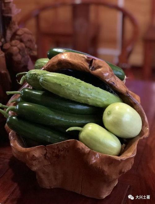 网红吃团队瓜,趣味横生！