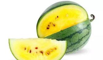 魏不栋吃瓜网,揭秘娱乐圈幕后故事，带你领略明星真实生活