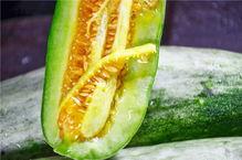 网红吃瓜打包图片高清视频