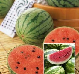 81万粉丝的网红吃瓜