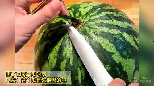 155.fun 吃瓜网,揭秘娱乐圈最新热点,带你畅游八卦海洋