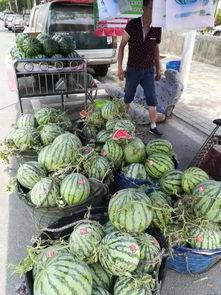淄博网红吃瓜事件,揭秘网络舆论的风暴与真相